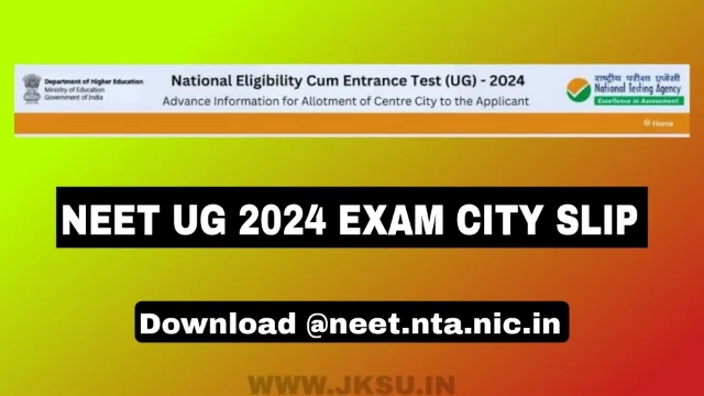NEET UG 2024 Exam City slip